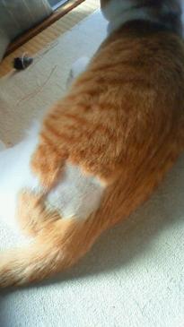 おっと！！！お尻が！？