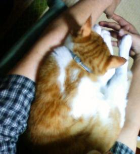 タロウに抱っこ