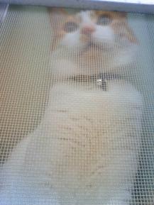 胸の張り具合が・・・