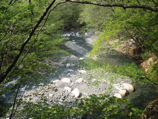 タケ谷出合辺り