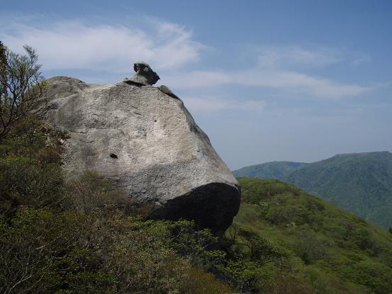 きのこ岩発見～