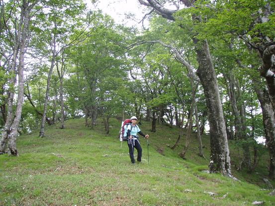 千石山からの下り