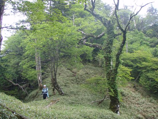 奥駈道に向かう