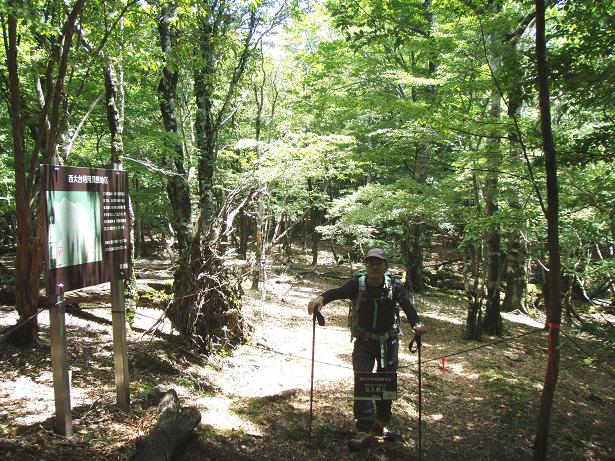 西大台利用調整地区　立入り禁止の看板