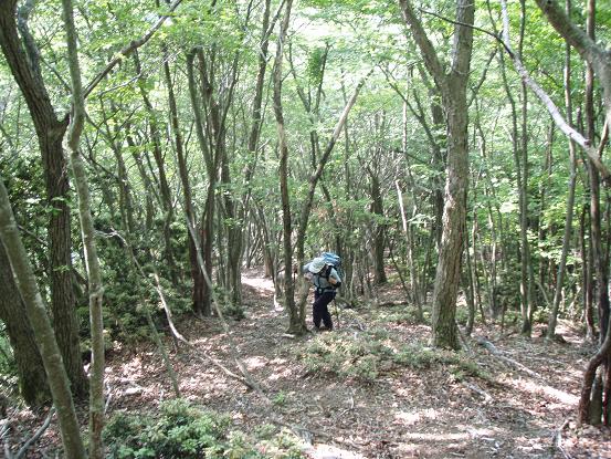 イブネ北端への尾根登り～