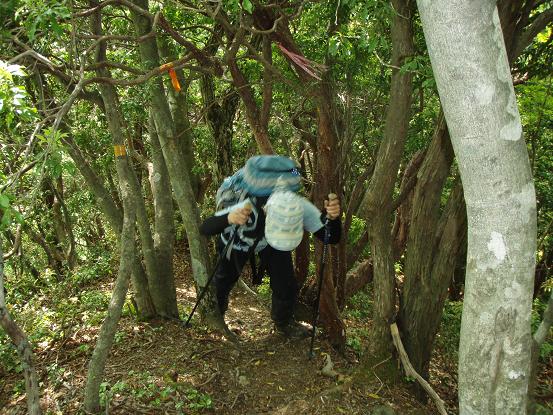 けっこうな傾斜