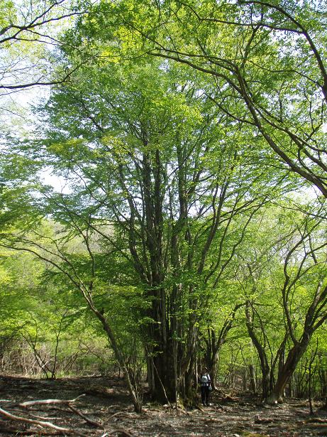 あった～～！！