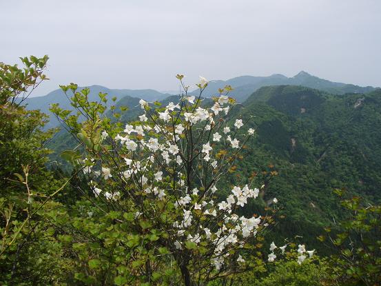 鎌ヶ岳方面