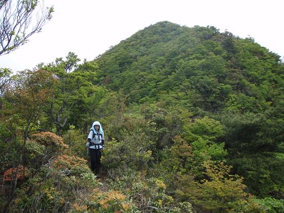 山頂から下って