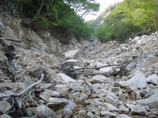 道なんて無いし～～