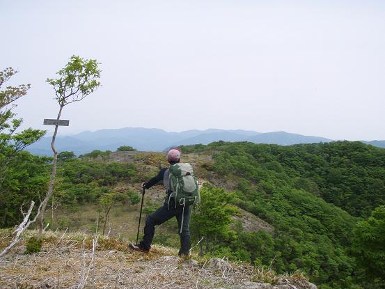 クラシを眺める