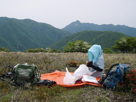 今日も焼きそば