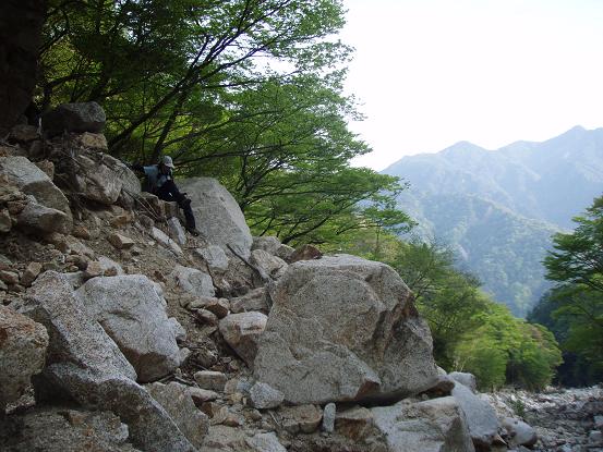 もっとマシなトコ歩かせて～～