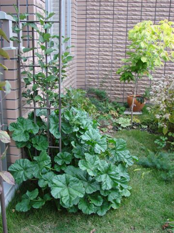 電子メールで送信: DSC04214