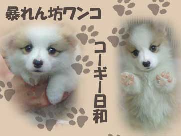 とっぷ