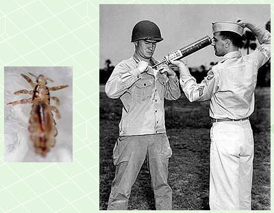 シラミ・DDT散布