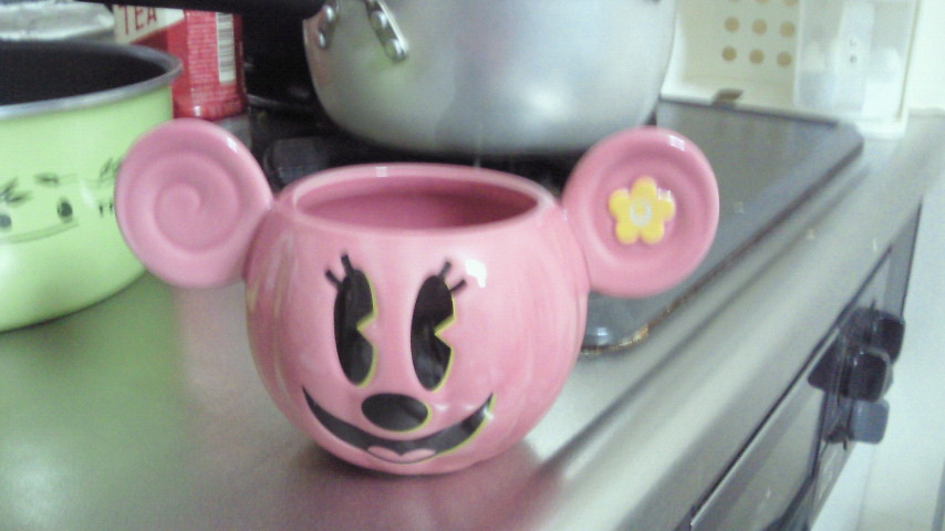 東京ディズニーランド4