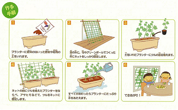 グリーンカーテンの作り方 節電対策グッズ特集 楽天ブログ