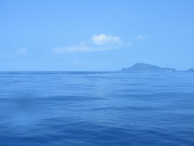 トムモーヤ