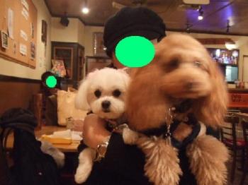 2006_0212アン0026.JPG