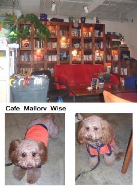 Cafe Mallory Wise.JPG