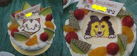 3月生まれのバースディケーキ♪