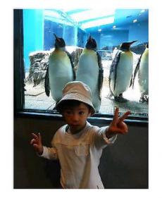 ペンギン