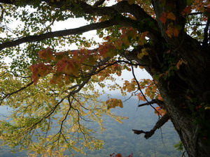 中禅寺湖の紅葉