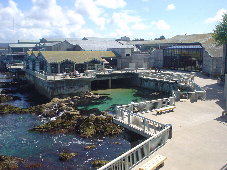 水族館裏