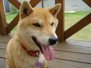 まっ、いいでしょ！