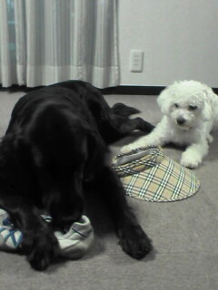 ねぇ～いこうよぉ！