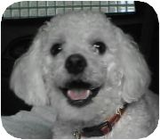 かわいいもこ♪