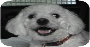 でぶもこ。。。