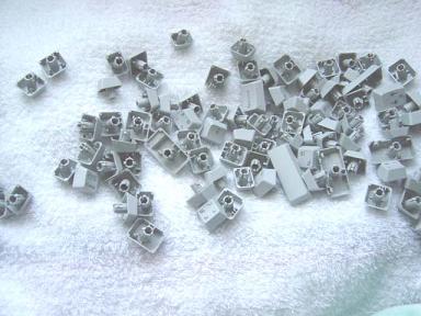 キー入浴後(・∀・)