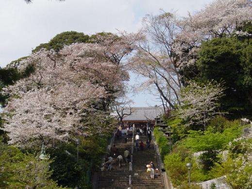 石段の下から(・∀・)