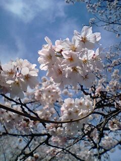 アップで(・∀・)