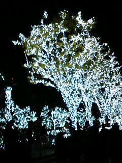 新宿サザンテラス(・∀・)