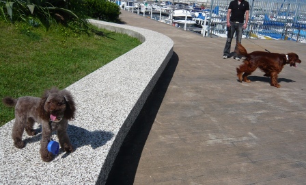 コピー ～ dc092207.JPG