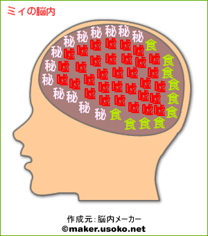 ミィの脳内