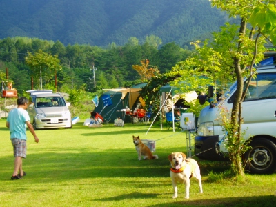 ゴン太も一緒のキャンプ場