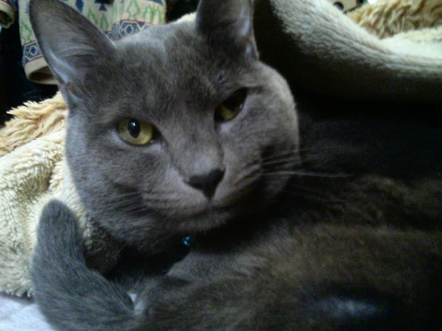 やんちゃなミル