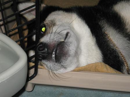 コピー ～ IMG_1590.JPG