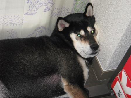 コピー ～ IMG_1600.JPG