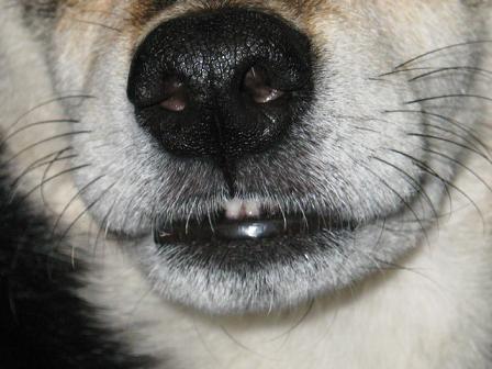 変な感じ (1).JPG