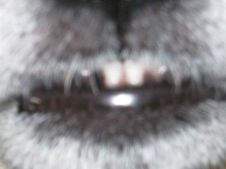 変な感じ (2).JPG