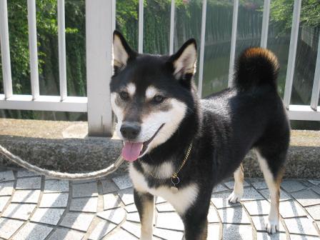 コピー ～ IMG_1332.JPG