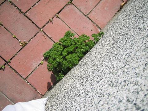 2007年2月.JPG