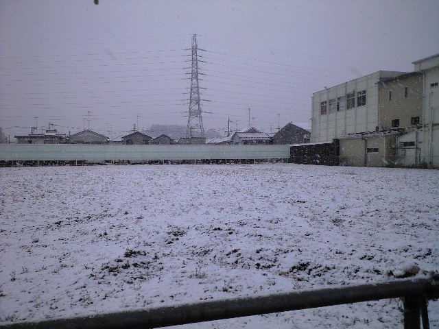 雪.JPG