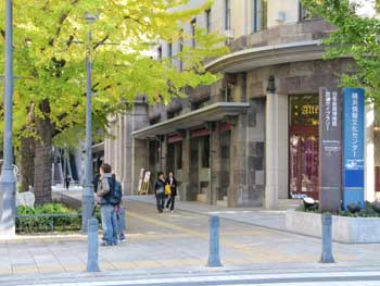 日本大通りのイチョウ並木の写真