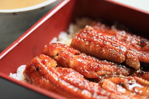 うな丼